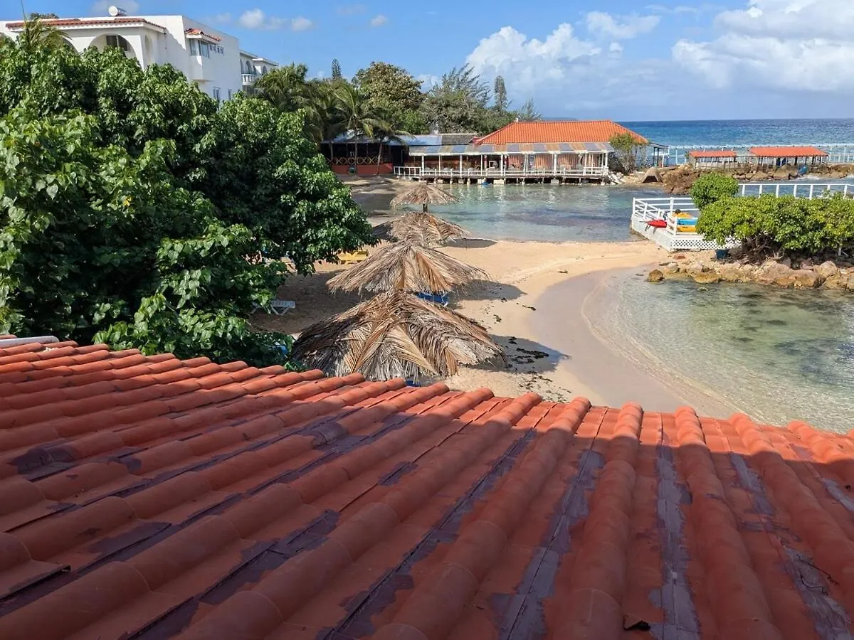 Sojo'S Sandy Toes Santuary Runaway Bay Jamaica