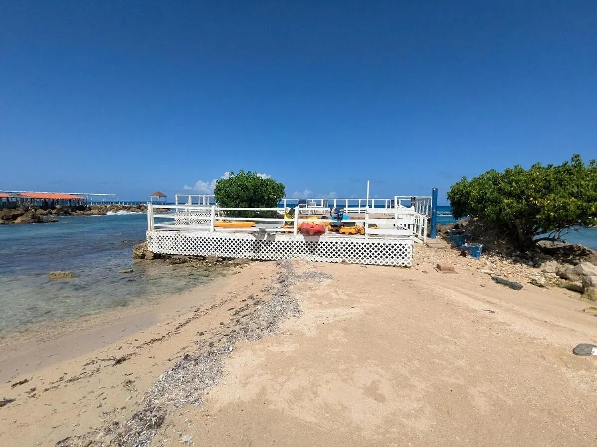 Sojo'S Sandy Toes Santuary Runaway Bay