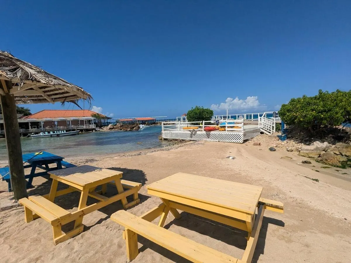 Sojo'S Sandy Toes Santuary Runaway Bay 0*,  Jamaica