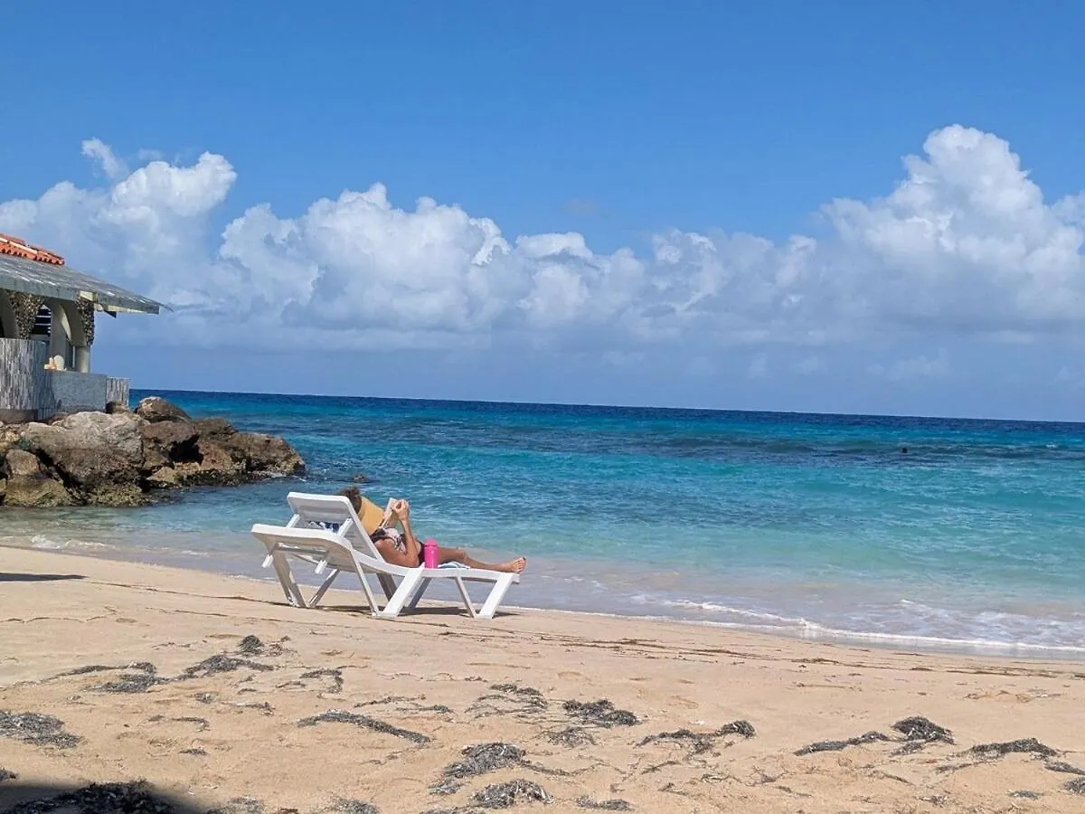 Sojo'S Sandy Toes Santuary Runaway Bay